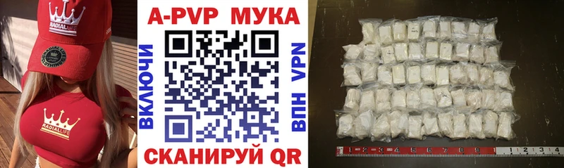 Alfa_PVP СК Каменка