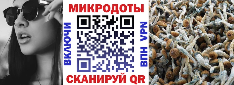 Купить где Каменка Галлюциногенные грибы мухоморы